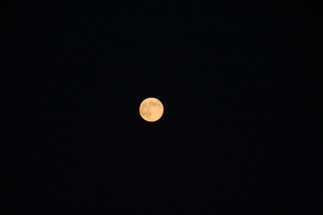 [img_0060.jpeg]