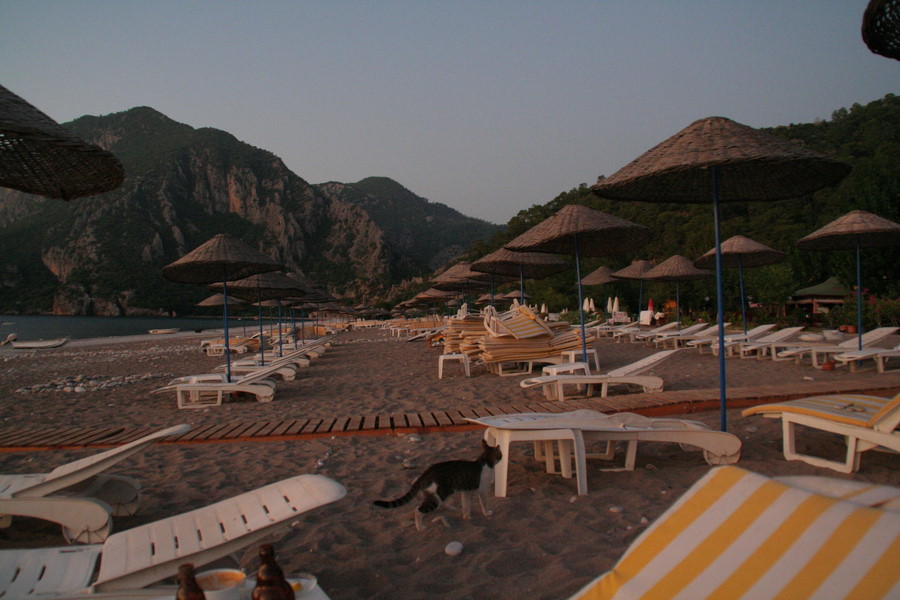 [img_0726.jpeg]