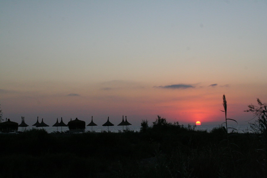 [img_0732.jpeg]