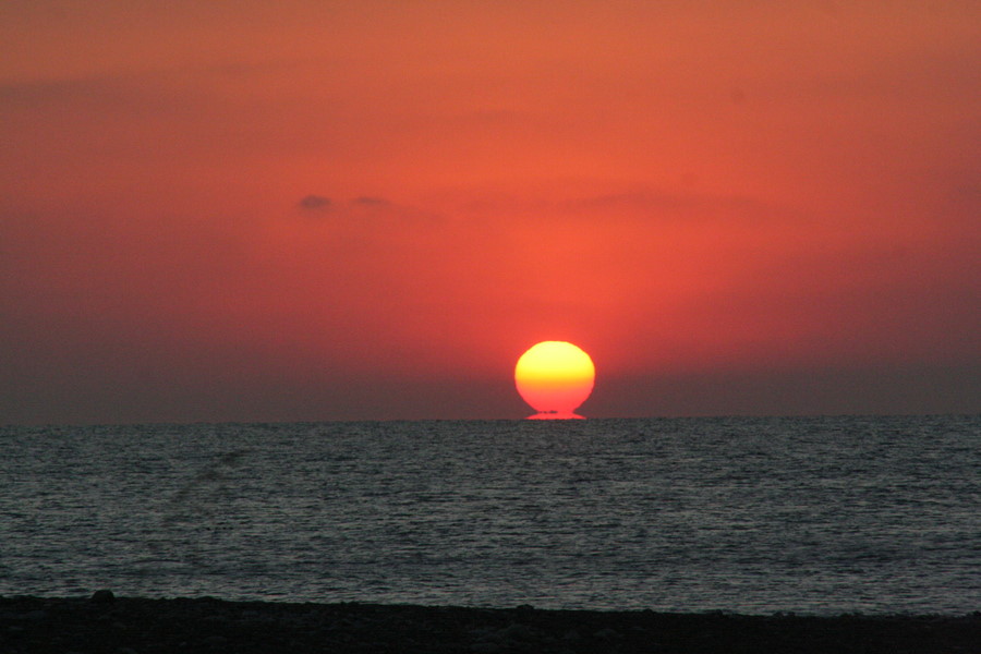 [img_0736.jpeg]