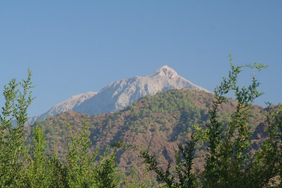 [img_1200.jpeg]
