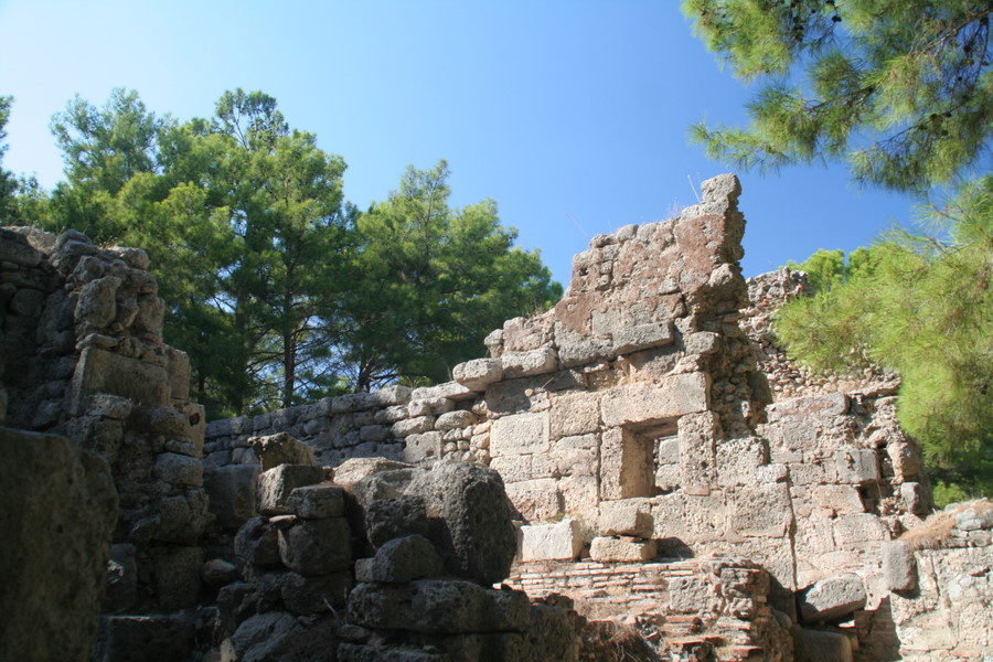 [img_1973.jpeg]