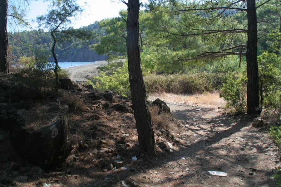 [img_2322.jpeg]