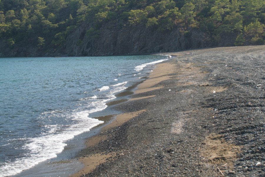 [img_2336.jpeg]