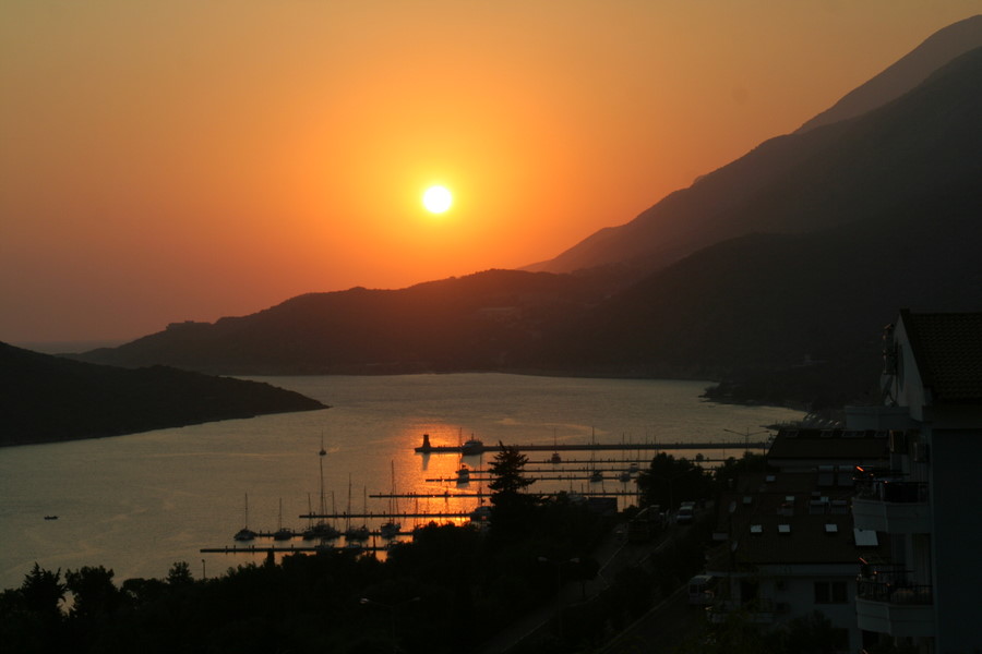 [img_8687.jpeg]