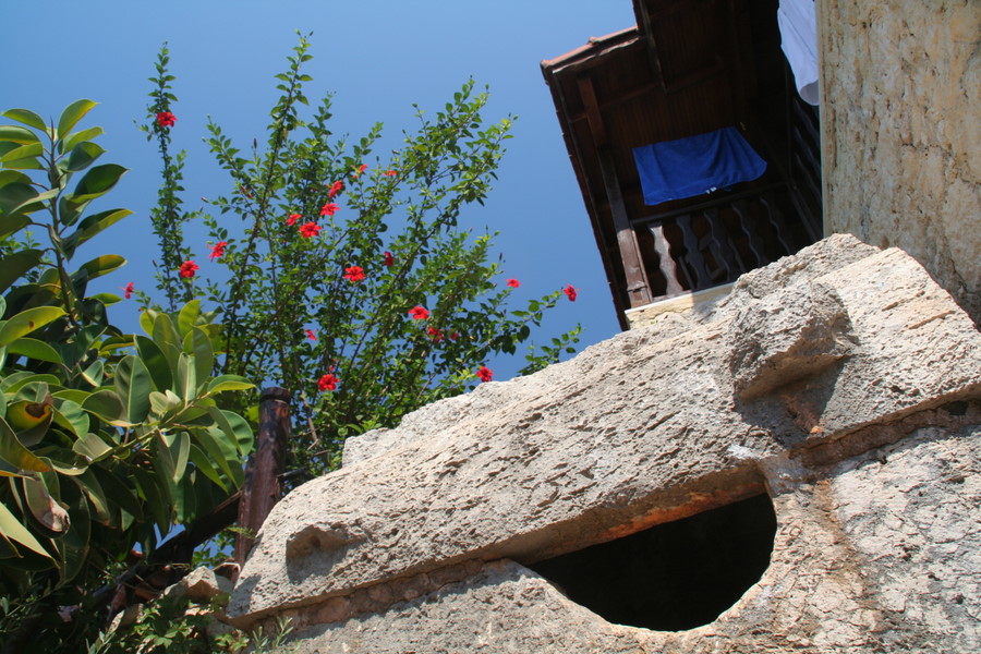 [img_9313.jpeg]