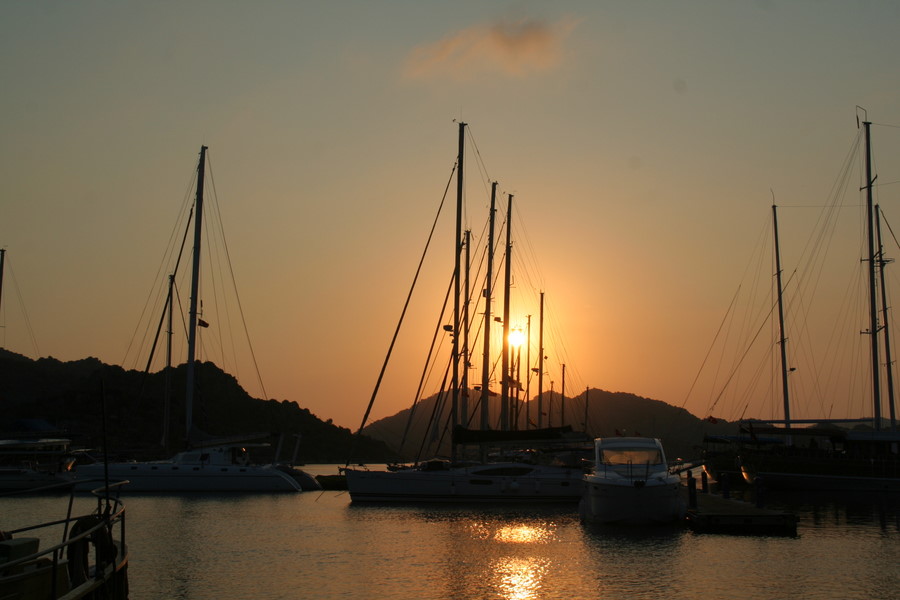[img_9502.jpeg]