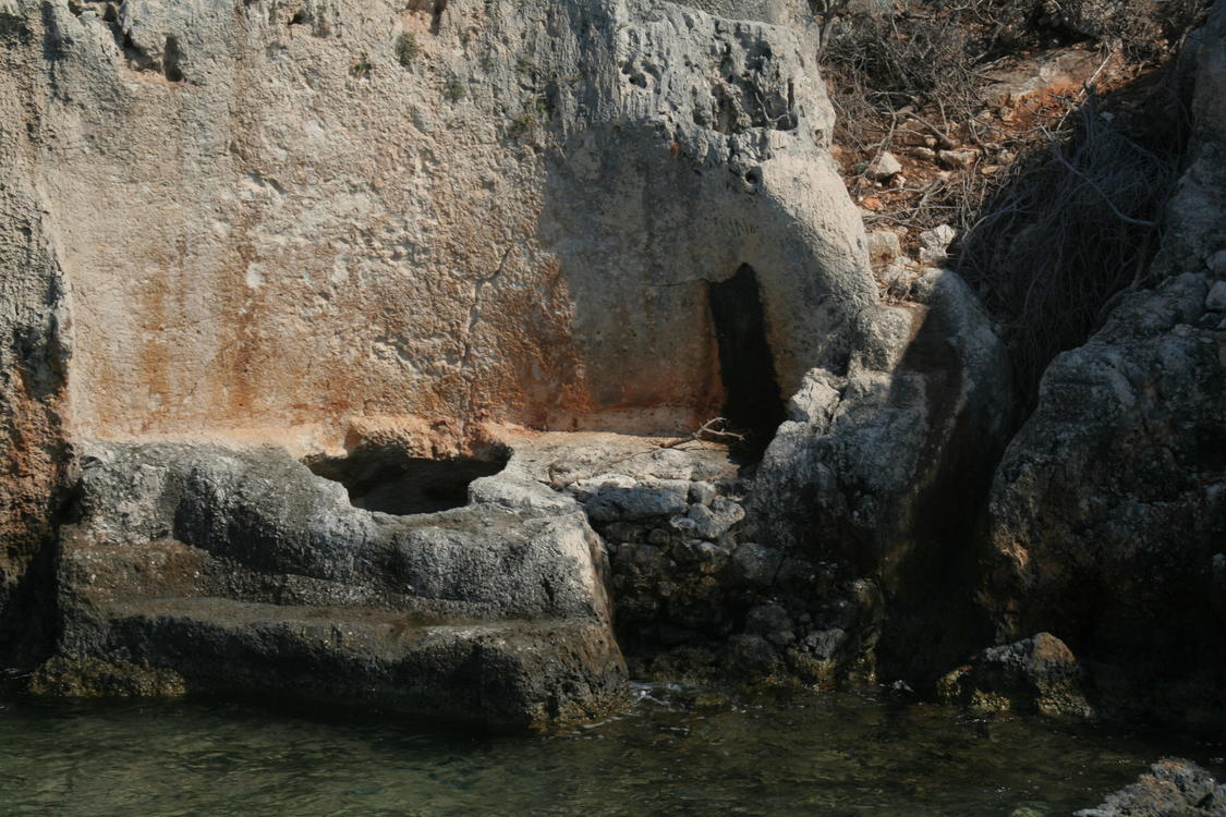 [img_9793.jpeg]
