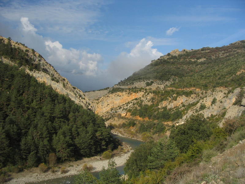 [img_6590.jpeg]