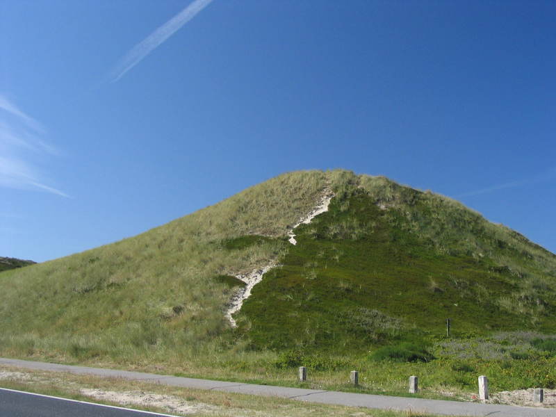 [img_8159.jpeg]