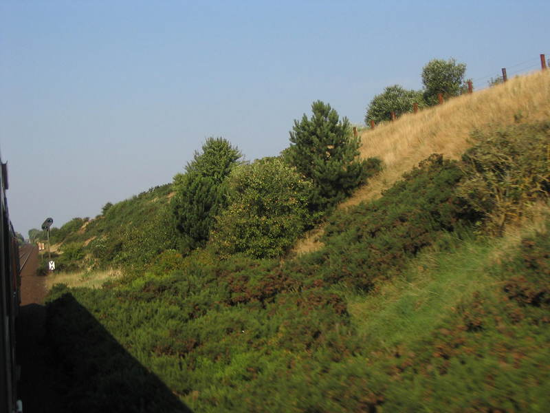 [img_9373.jpeg]