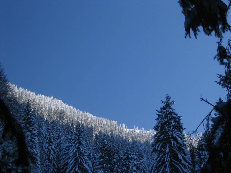 [img_2603.jpeg]