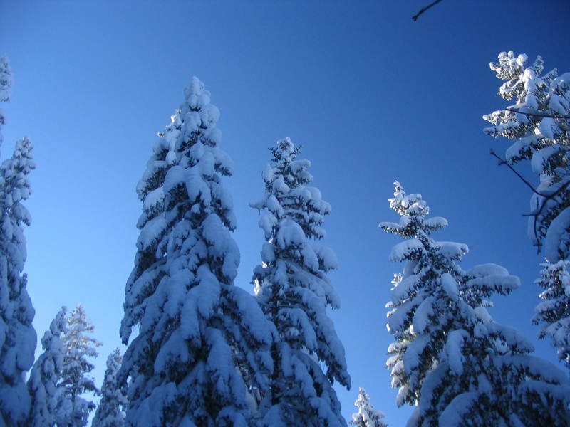 [img_2658.jpeg]