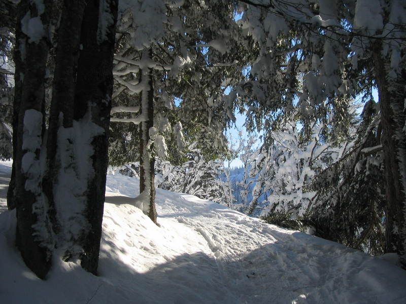 [img_2665.jpeg]