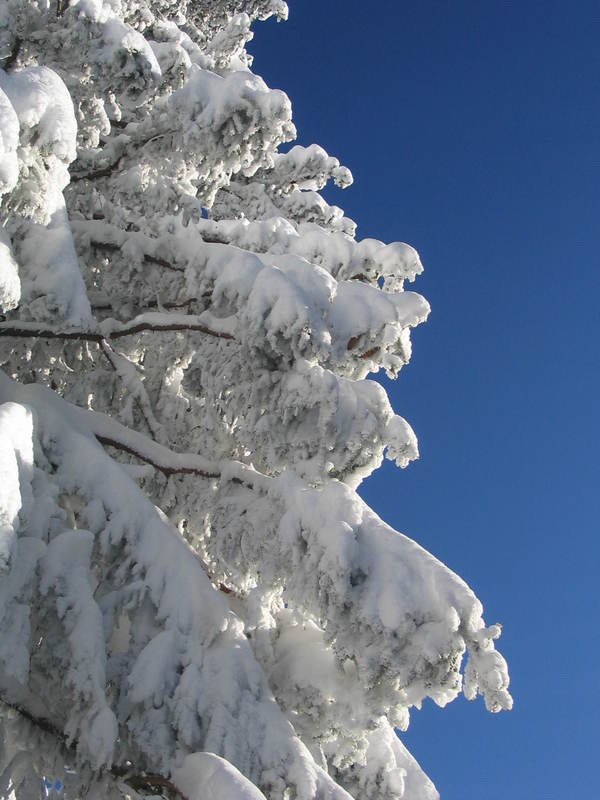 [img_2697.jpeg]